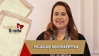 Explica Direito Filiação Socioafetiva  2019 [upl. by Iddo846]