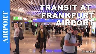 TRANSIT WALK AT FRANKFURT Airport FRA Terminal 1  Connection Flight Transfer Arriving amp Departing [upl. by Vins657]